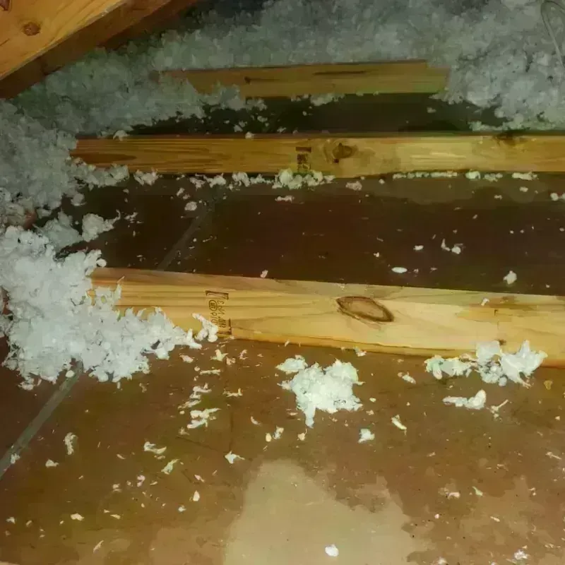 Attic Water Damage in Fairview Shores, FL