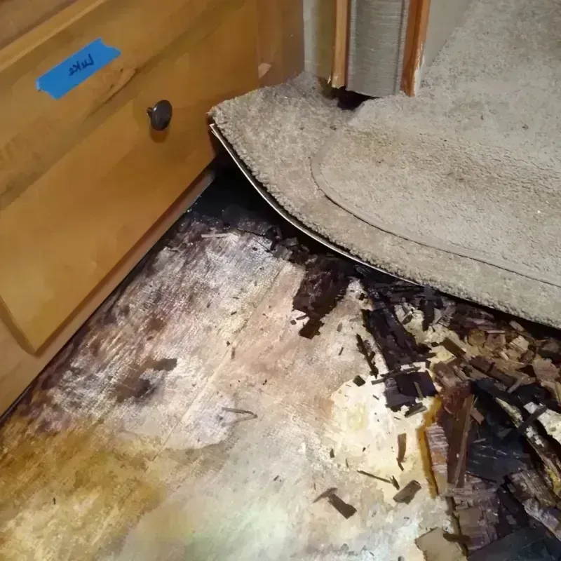 Wood Floor Water Damage in Fairview Shores, FL